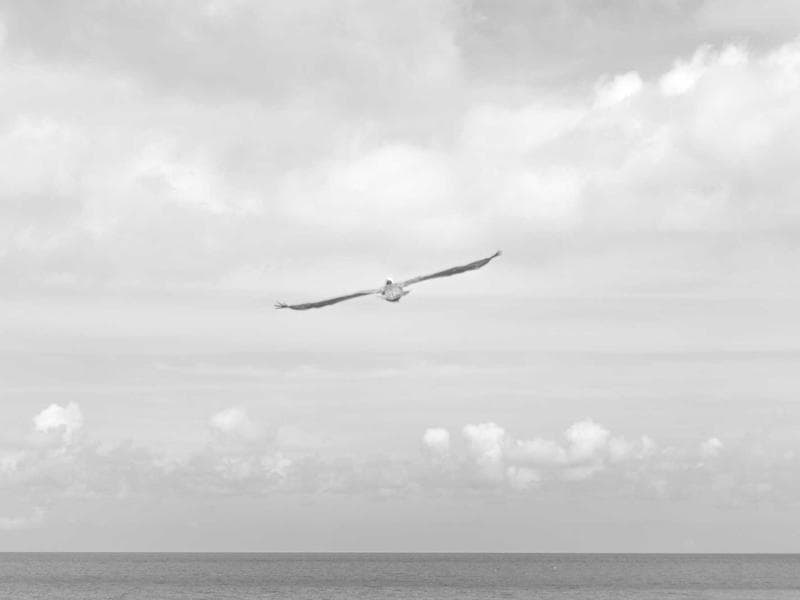 The Future of Digital Marketing