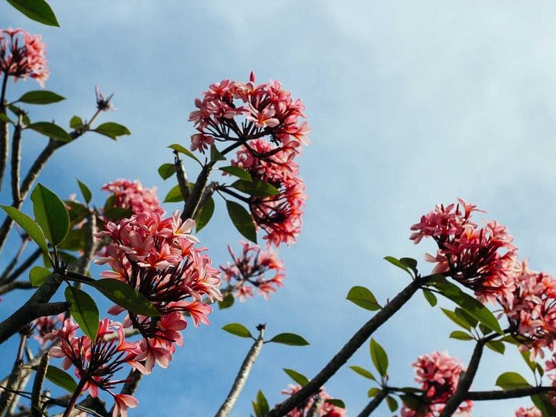 Tech Blog Traffic Boost